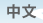 中文
