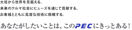 大垣から世界を見据える。未来のクルマ社会にヒューズを通じて貢献する。お客様とともに高度な技術に挑戦する。あなたがしたいことは、このPECにきっとある！